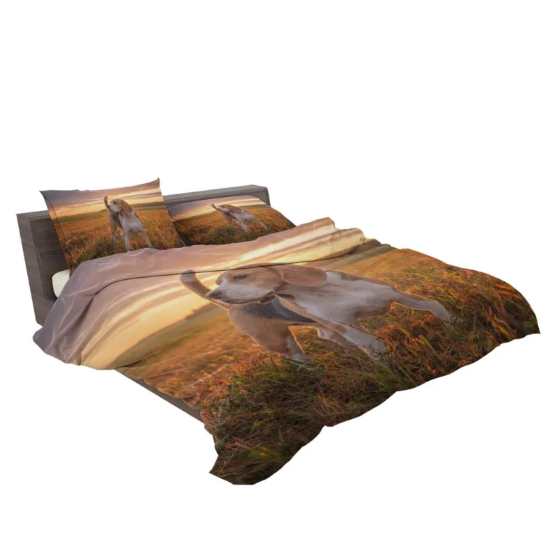 The Energetic and Friendly Beagle: Beagle Bedding Set 2