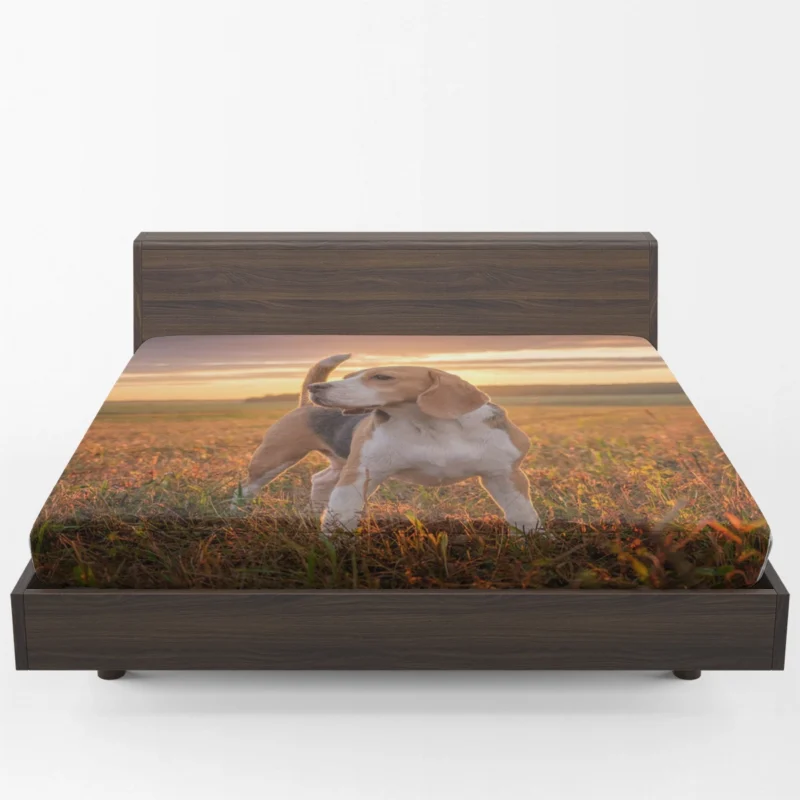 The Energetic and Friendly Beagle: Beagle Fitted Sheet 1