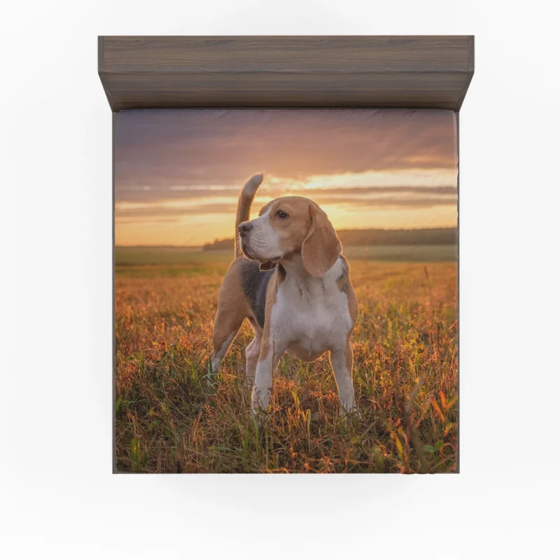 The Energetic and Friendly Beagle: Beagle Fitted Sheet