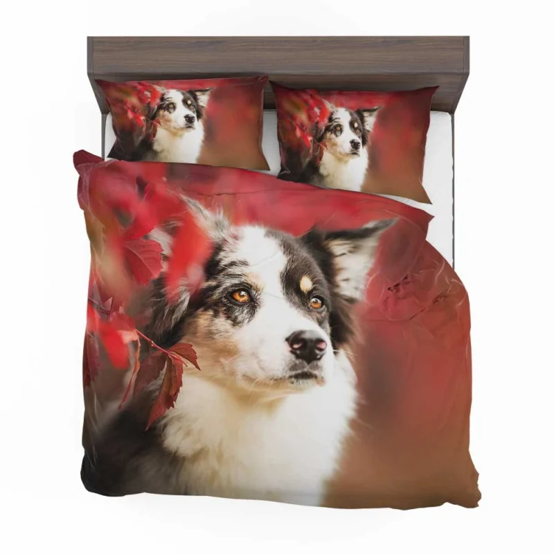 The Energetic and Playful Border Collie: Border Collie Bedding Set 1
