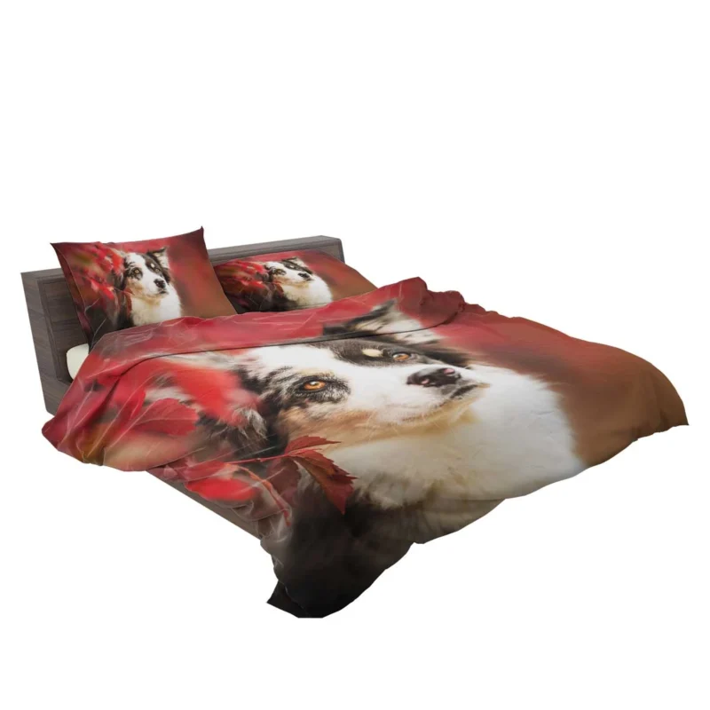 The Energetic and Playful Border Collie: Border Collie Bedding Set 2