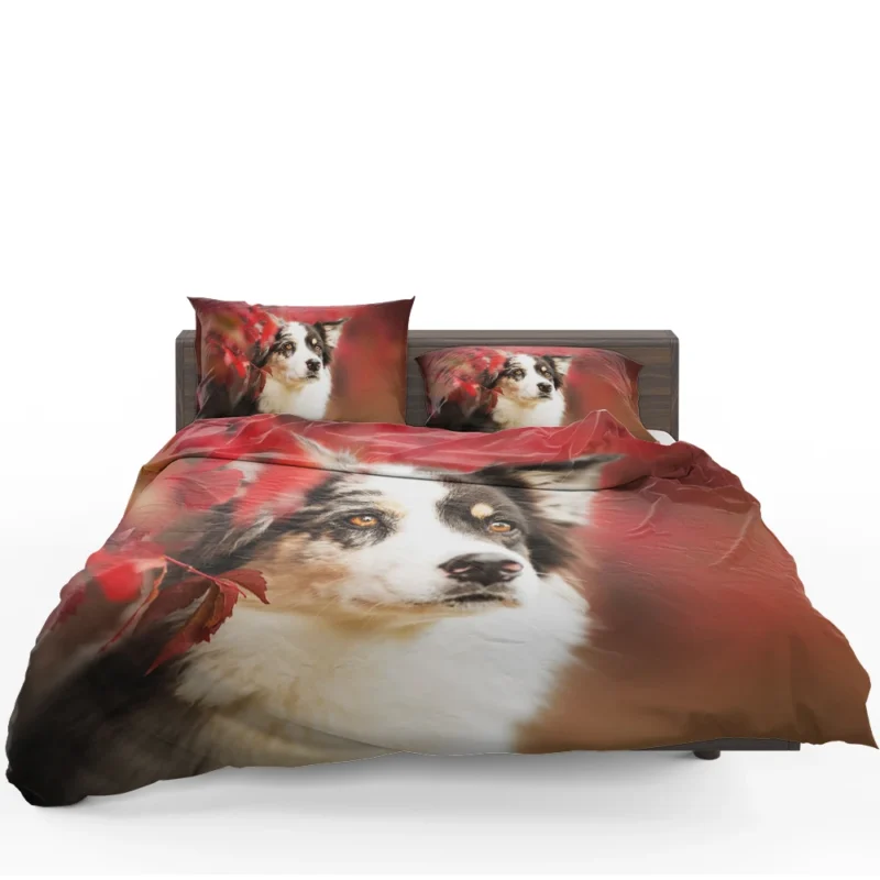 The Energetic and Playful Border Collie: Border Collie Bedding Set
