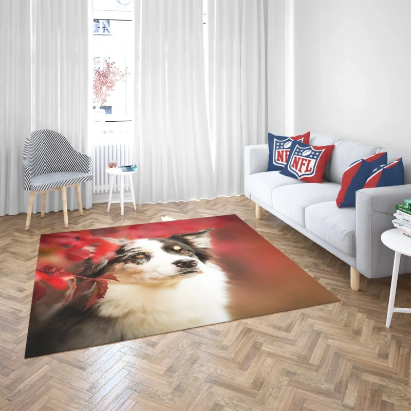 The Energetic and Playful Border Collie: Border Collie Floor Rug 2