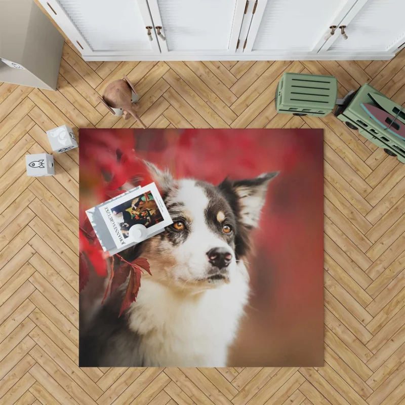 The Energetic and Playful Border Collie: Border Collie Floor Rug