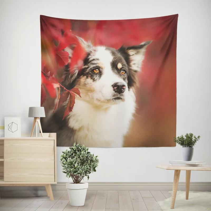 The Energetic and Playful Border Collie  Border Collie Wall Tapestry