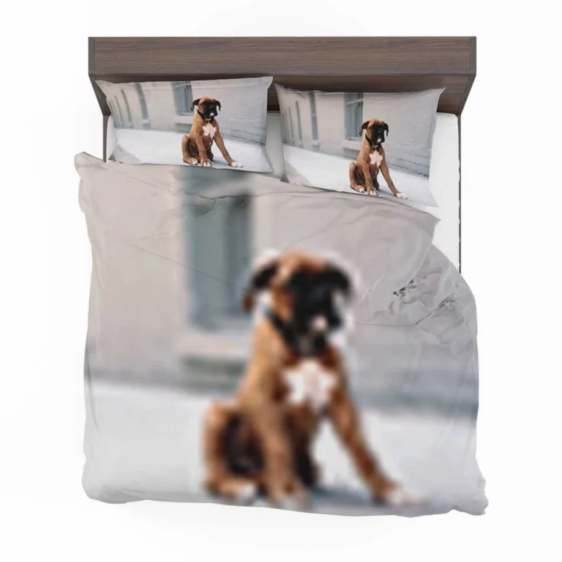 The Energetic and Playful Boxer: Boxer Bedding Set 1