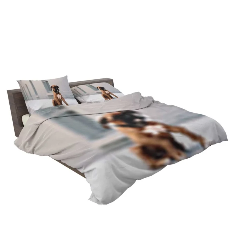 The Energetic and Playful Boxer: Boxer Bedding Set 2