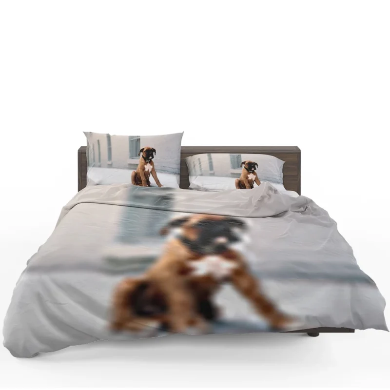 The Energetic and Playful Boxer: Boxer Bedding Set