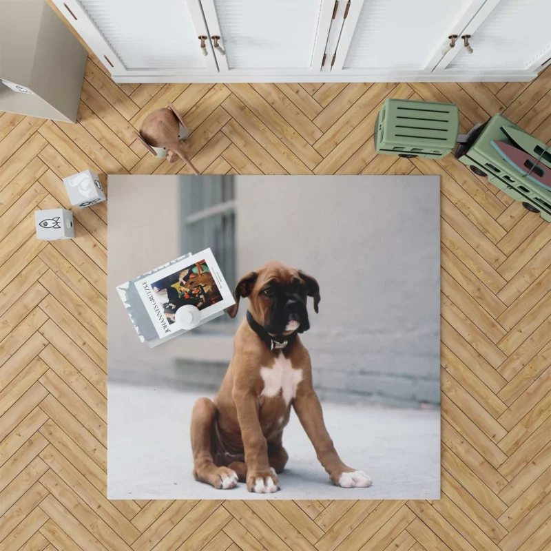 The Energetic and Playful Boxer: Boxer Floor Rug