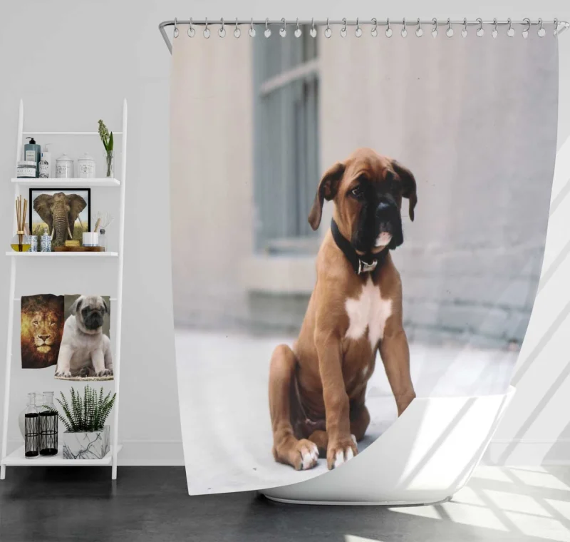 The Energetic and Playful Boxer: Boxer Shower Curtain