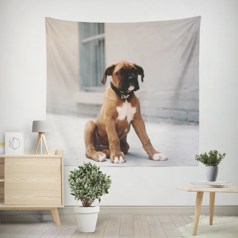 The Energetic and Playful Boxer  Boxer Wall Tapestry