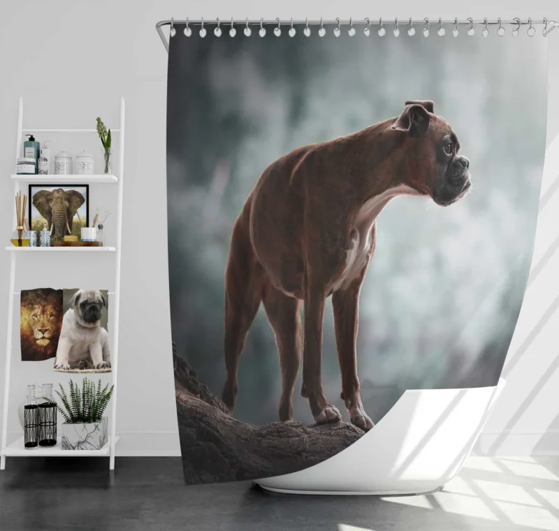 The Expressive Boxer (Dog): Boxer Shower Curtain