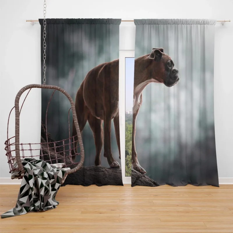 The Expressive Boxer (Dog): Boxer Window Curtain