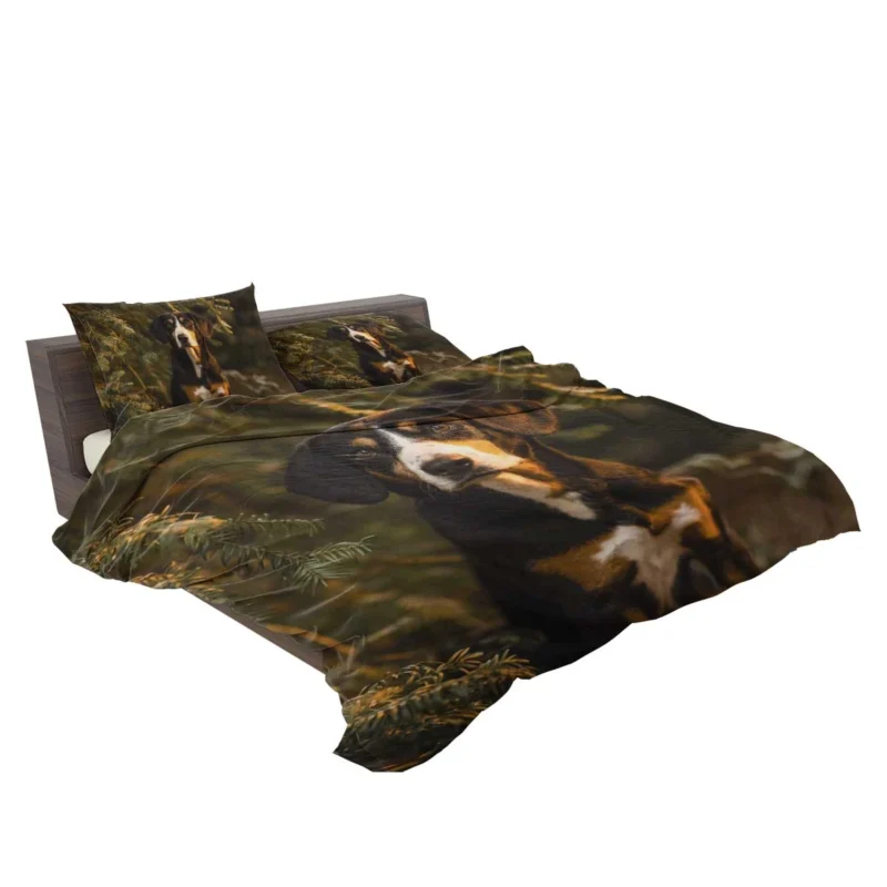 The Gaze of Bernese Mountain Dog: Bernese Mountain Dog Bedding Set 2