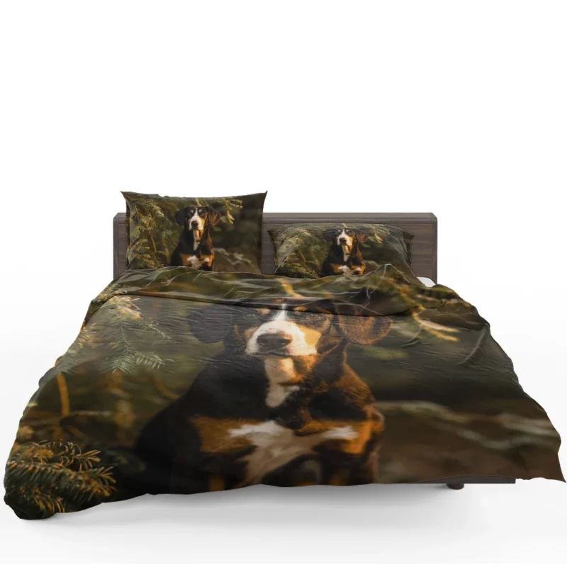 The Gaze of Bernese Mountain Dog: Bernese Mountain Dog Bedding Set