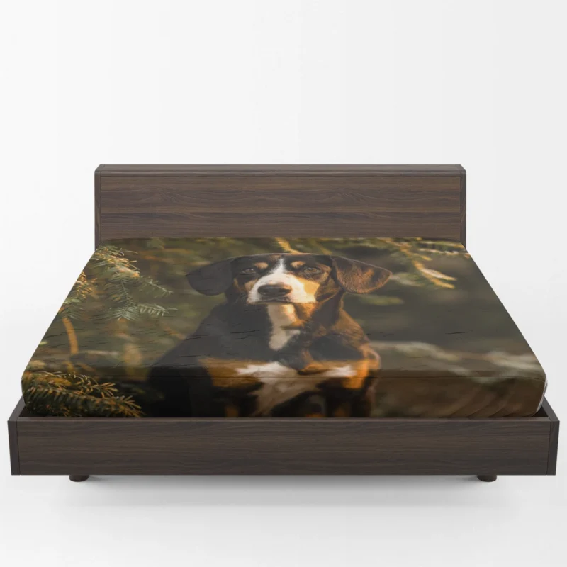 The Gaze of Bernese Mountain Dog: Bernese Mountain Dog Fitted Sheet 1