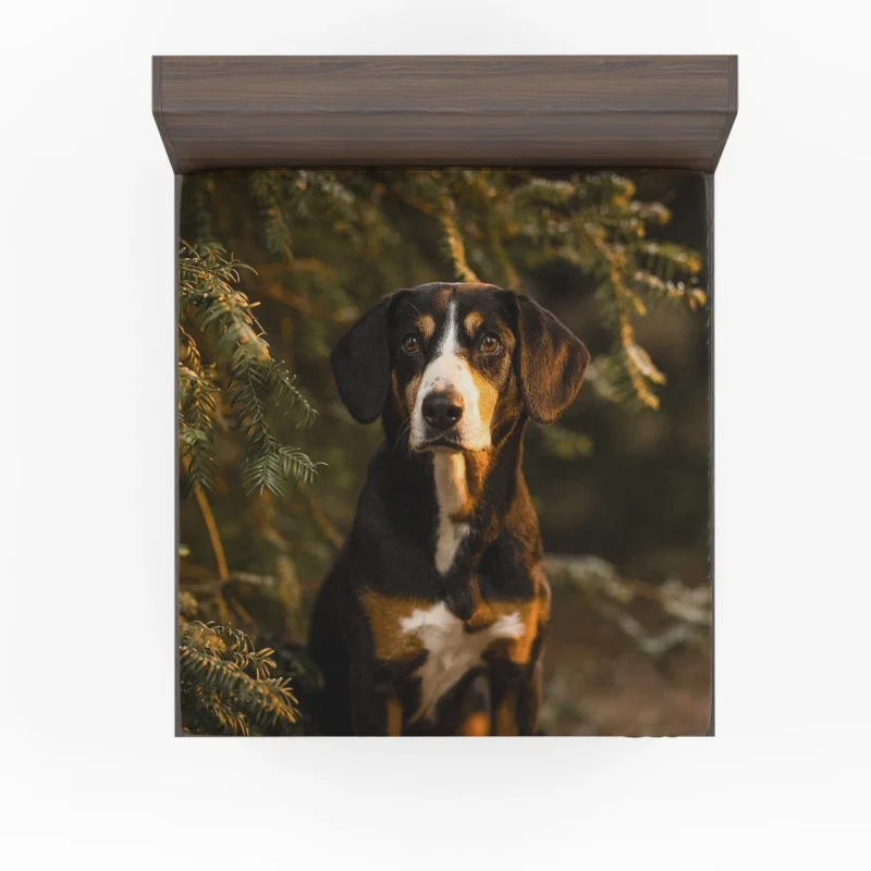 The Gaze of Bernese Mountain Dog: Bernese Mountain Dog Fitted Sheet