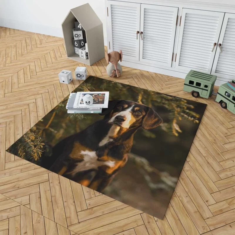 The Gaze of Bernese Mountain Dog: Bernese Mountain Dog Floor Rug 1