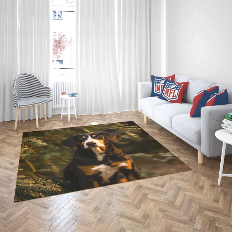 The Gaze of Bernese Mountain Dog: Bernese Mountain Dog Floor Rug 2