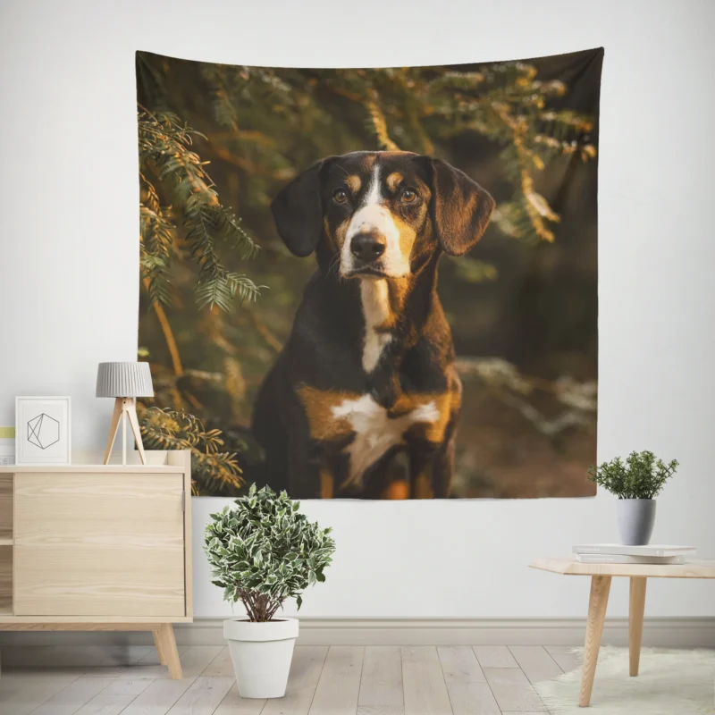 The Gaze of Bernese Mountain Dog  Bernese Mountain Dog Wall Tapestry