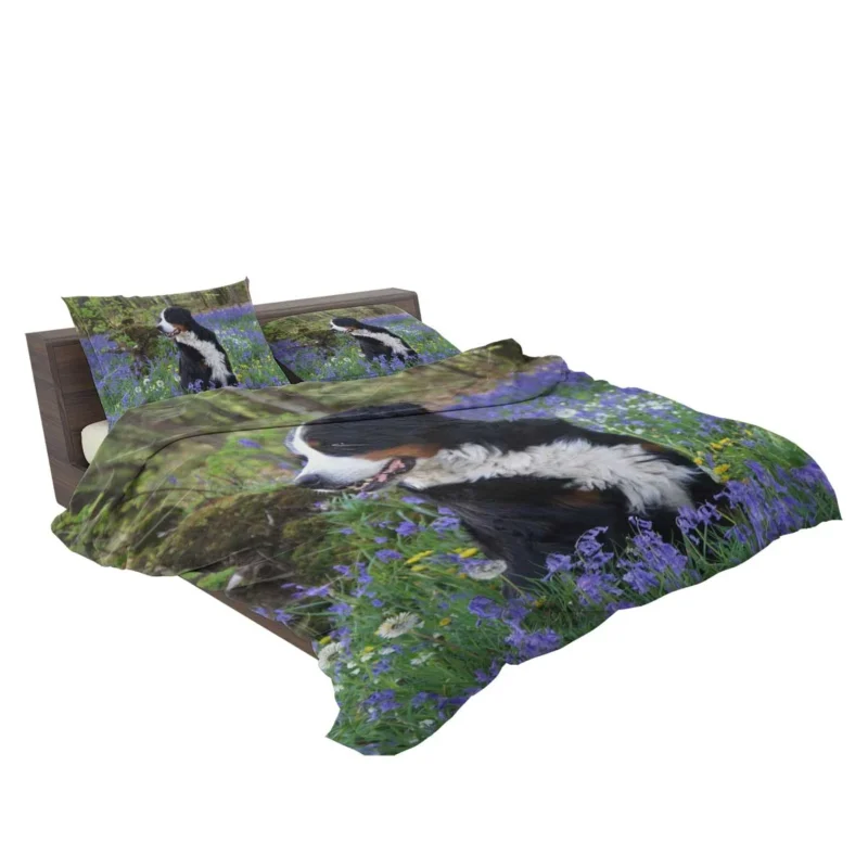 The Gentle Giant: Bernese Mountain Dog Bedding Set 2
