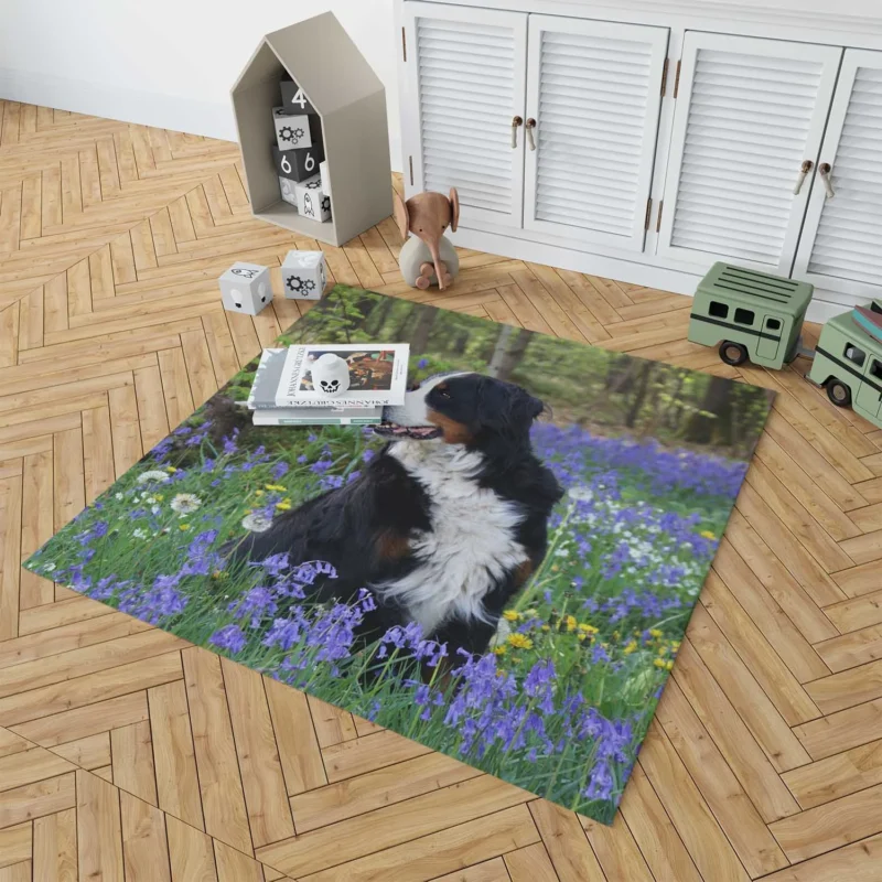 The Gentle Giant: Bernese Mountain Dog Floor Rug 1