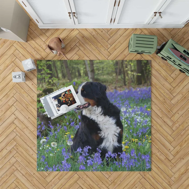 The Gentle Giant: Bernese Mountain Dog Floor Rug