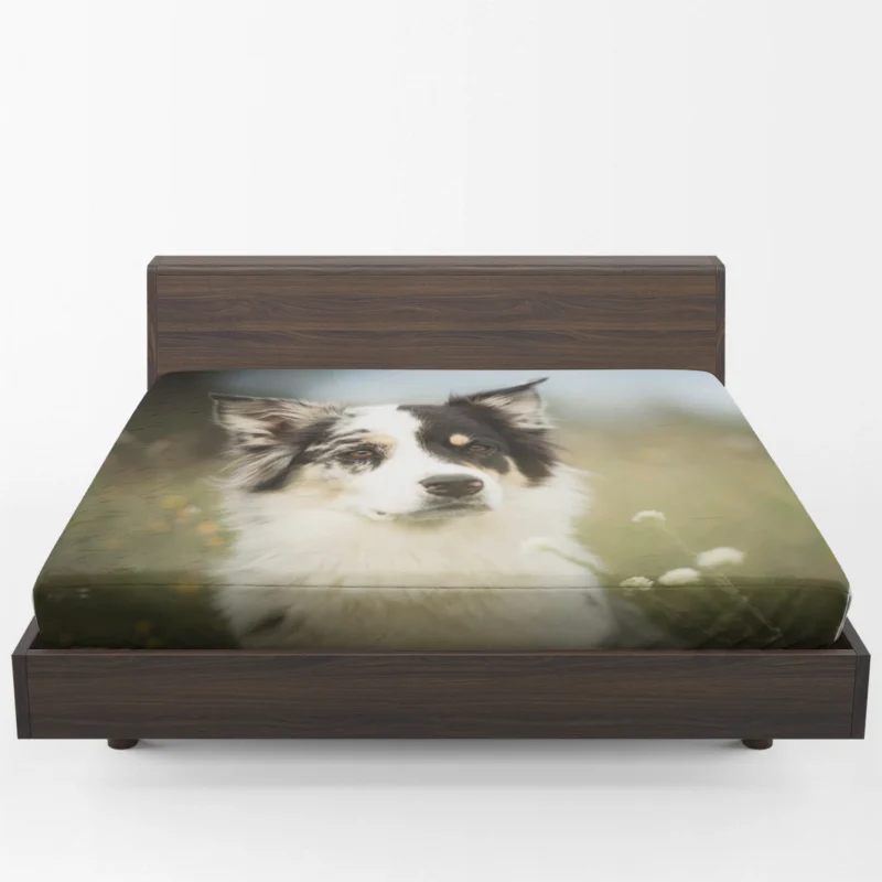 The Graceful and Elegant Border Collie: Border Collie Fitted Sheet 1