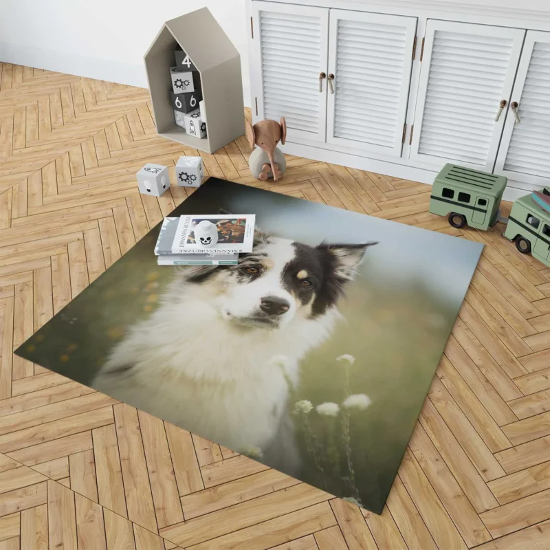 The Graceful and Elegant Border Collie: Border Collie Floor Rug 1