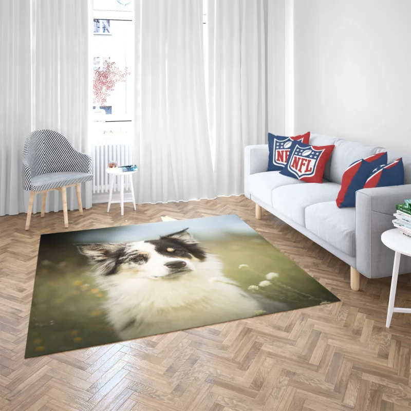 The Graceful and Elegant Border Collie: Border Collie Floor Rug 2