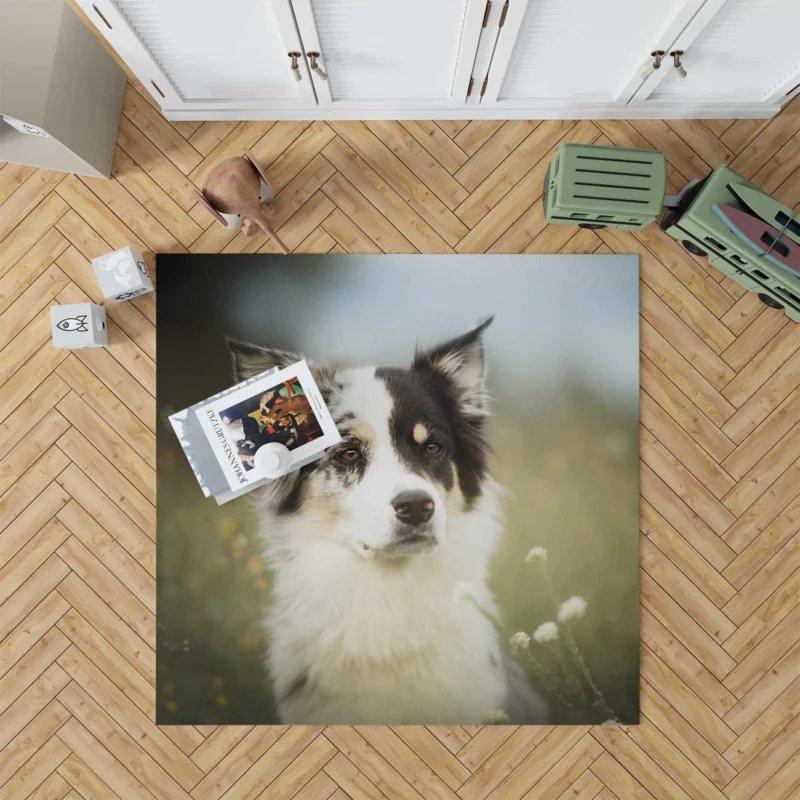 The Graceful and Elegant Border Collie: Border Collie Floor Rug