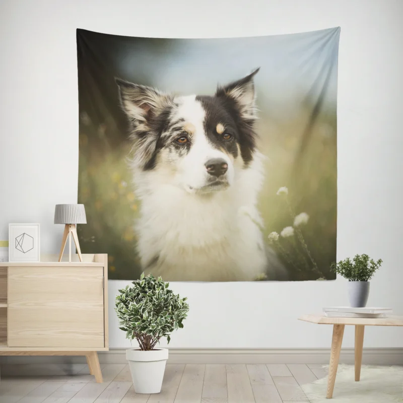 The Graceful and Elegant Border Collie  Border Collie Wall Tapestry