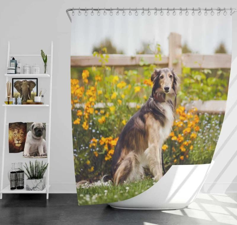 The Graceful and Majestic Borzoi: Borzoi Shower Curtain