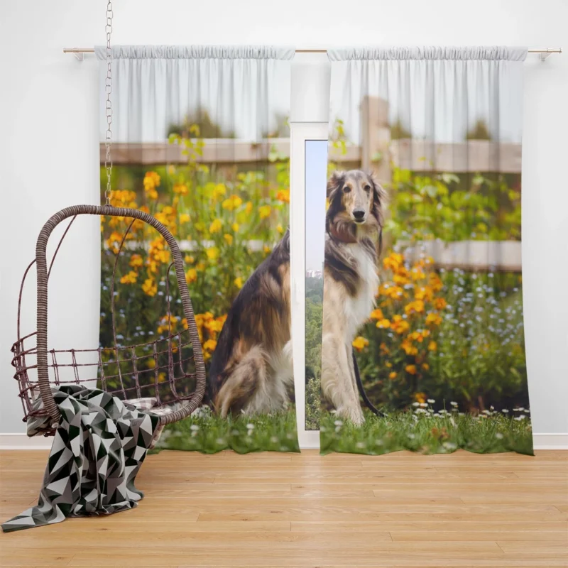 The Graceful and Majestic Borzoi: Borzoi Window Curtain