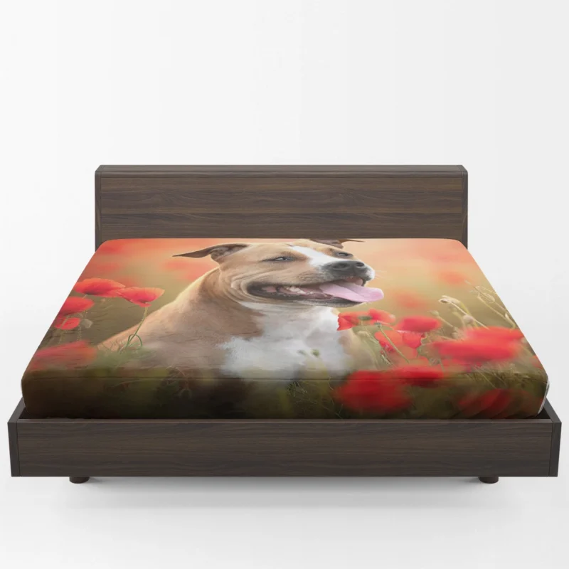 The Graceful and Majestic Bull Terrier: Bull Terrier Fitted Sheet 1