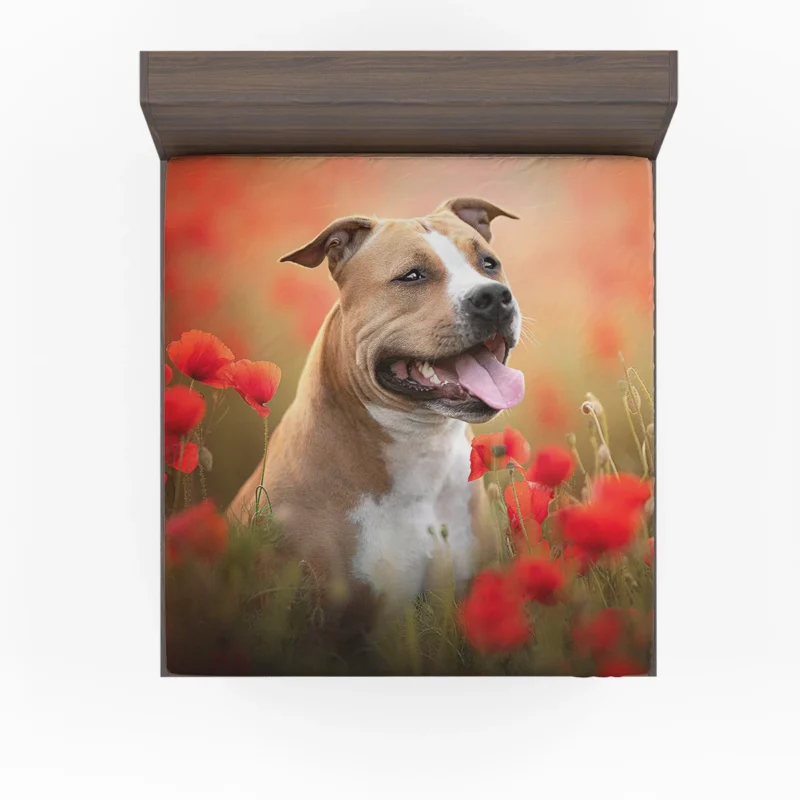 The Graceful and Majestic Bull Terrier: Bull Terrier Fitted Sheet