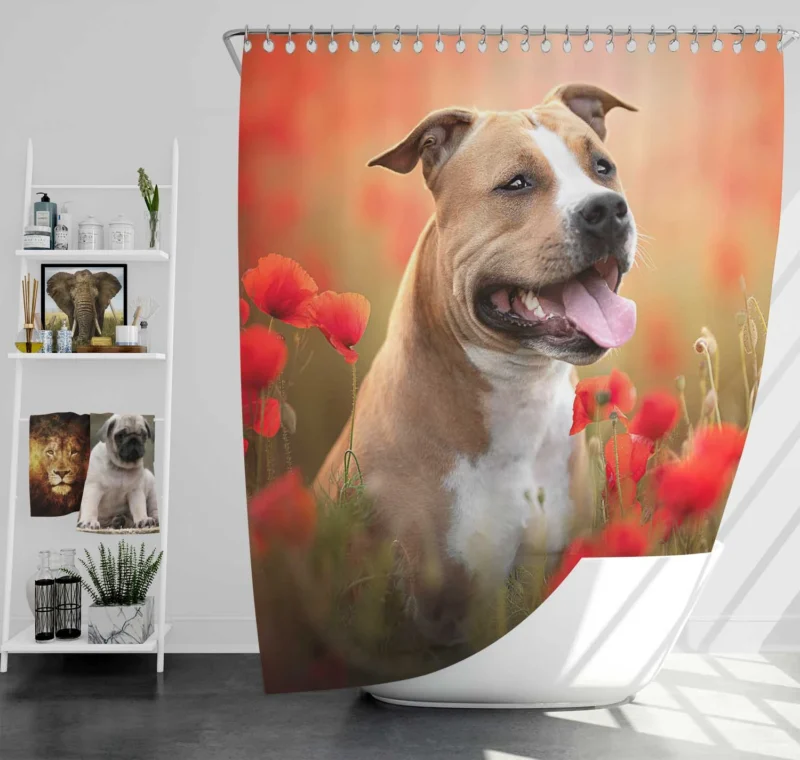 The Graceful and Majestic Bull Terrier: Bull Terrier Shower Curtain