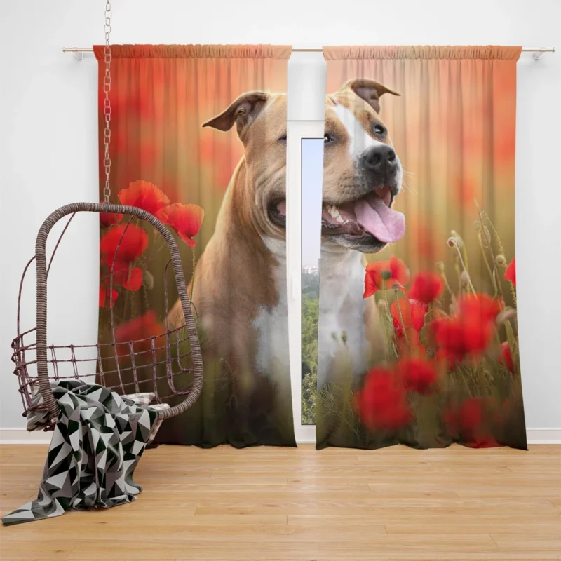 The Graceful and Majestic Bull Terrier: Bull Terrier Window Curtain