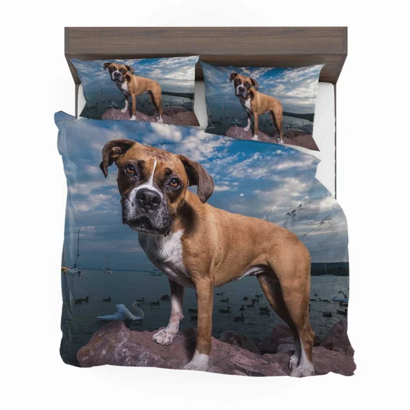The Intense Stare of Boxer (Dog): Boxer Bedding Set 1