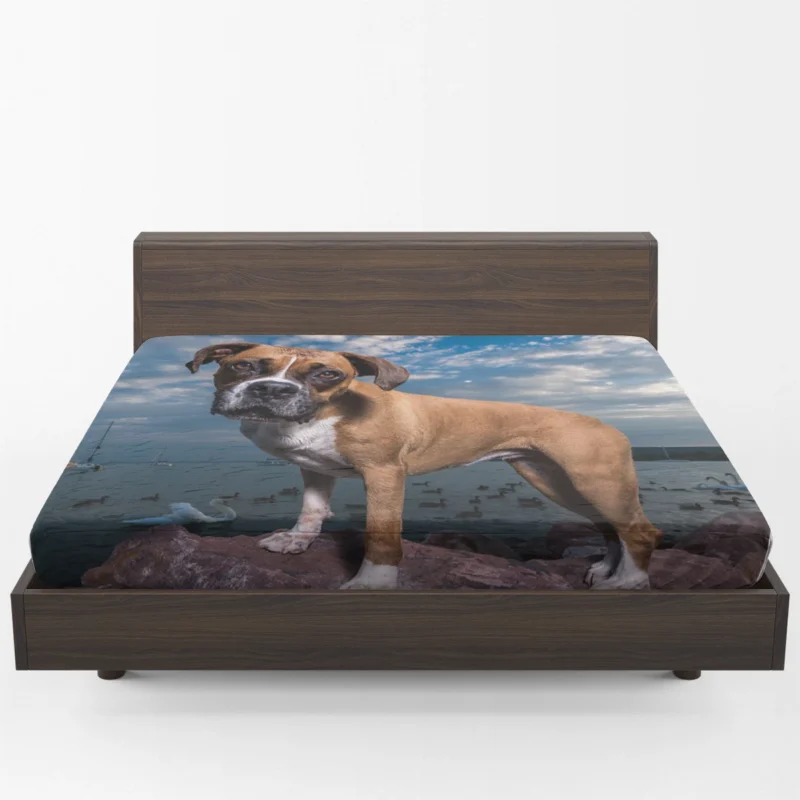 The Intense Stare of Boxer (Dog): Boxer Fitted Sheet 1