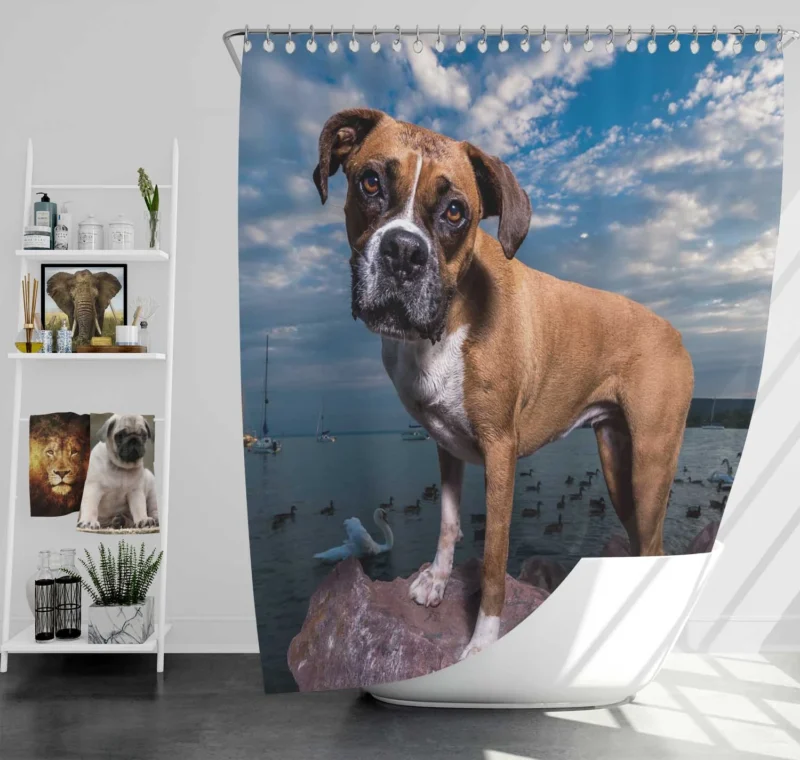 The Intense Stare of Boxer (Dog): Boxer Shower Curtain