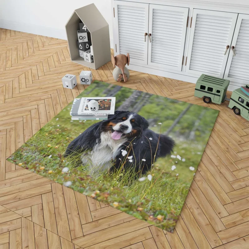 The Majestic Bernese: Bernese Mountain Dog Floor Rug 1