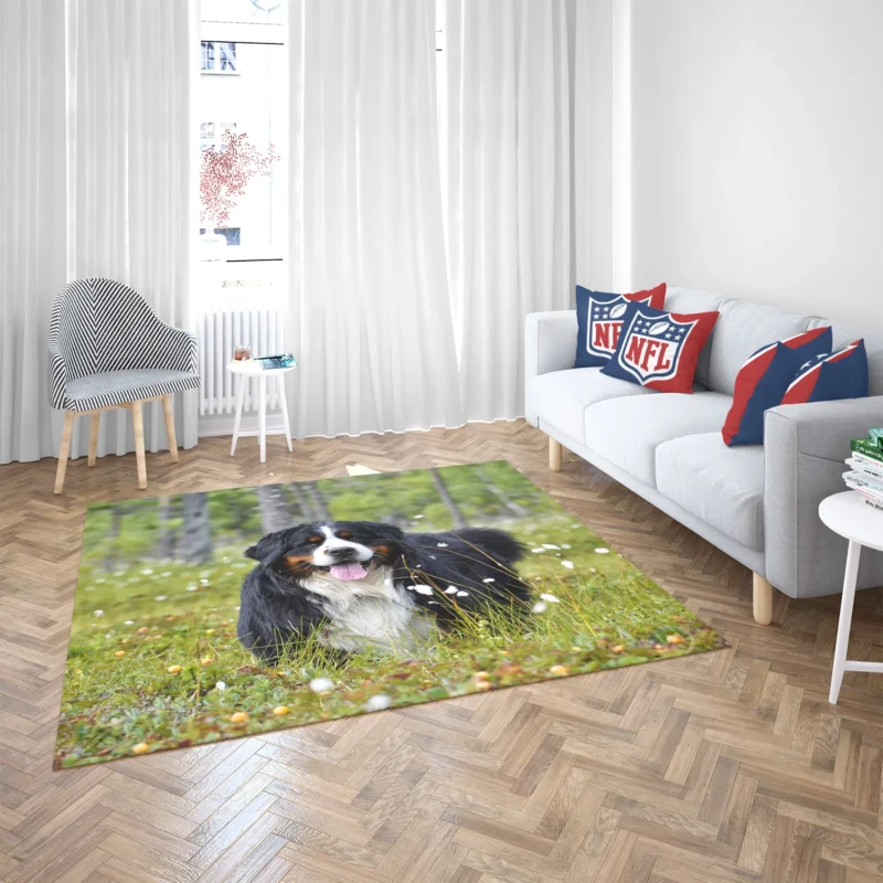 The Majestic Bernese: Bernese Mountain Dog Floor Rug 2