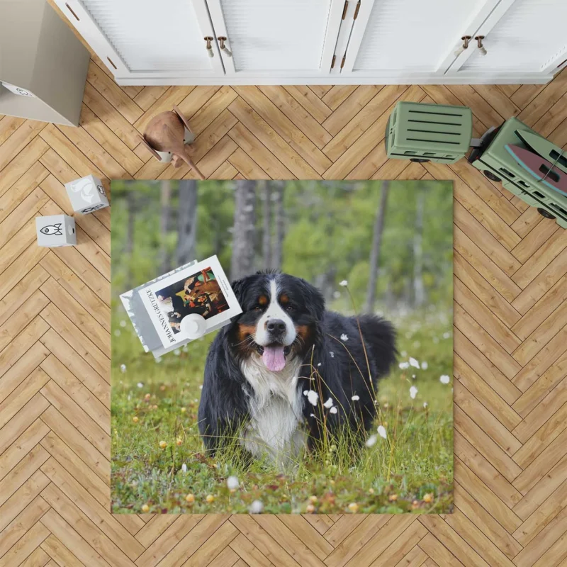 The Majestic Bernese: Bernese Mountain Dog Floor Rug