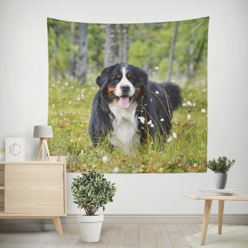 The Majestic Bernese  Bernese Mountain Dog Wall Tapestry