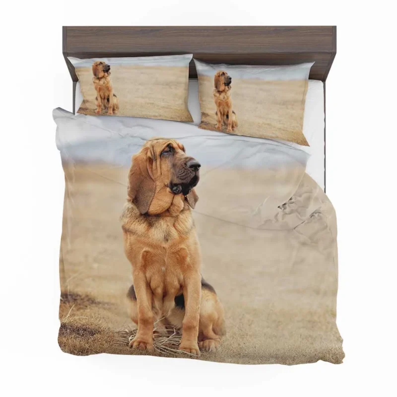 The Noble and Elegant Bloodhound: Bloodhound Bedding Set 1
