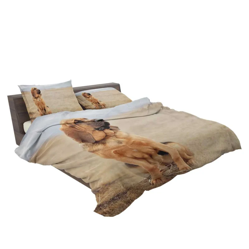 The Noble and Elegant Bloodhound: Bloodhound Bedding Set 2