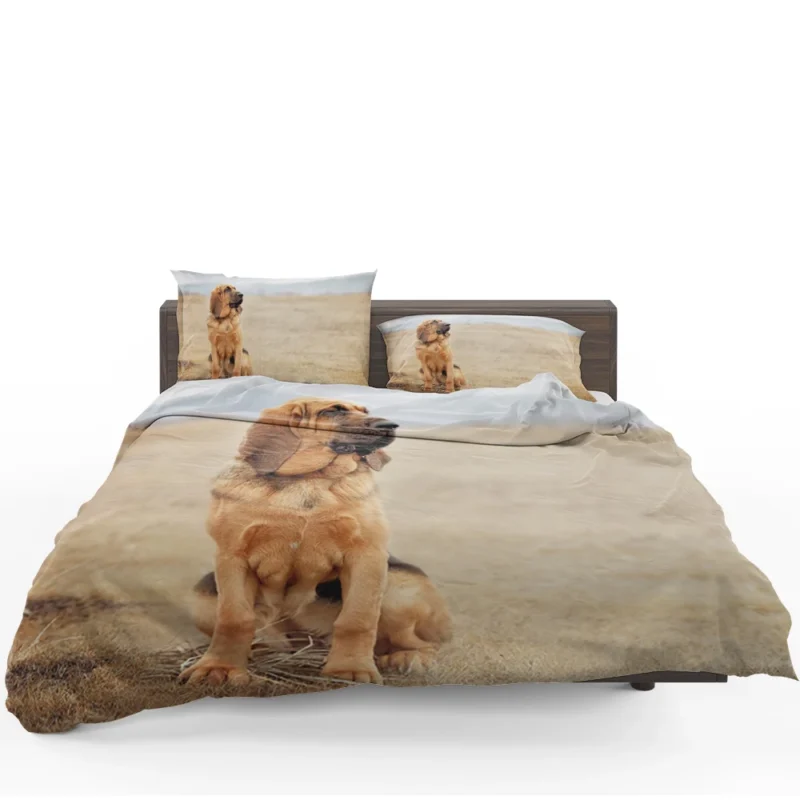 The Noble and Elegant Bloodhound: Bloodhound Bedding Set