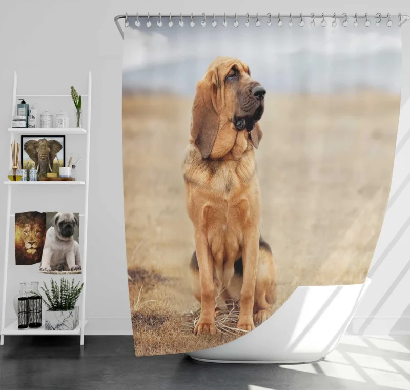 The Noble and Elegant Bloodhound: Bloodhound Shower Curtain