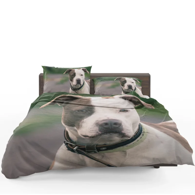 The Pit Bull Presence: American Pit Bull Terrier Quartet Bedding Set